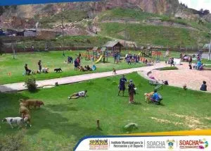 trasteos soacha bogotá